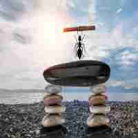 有‍哪‍些​免﻿费‌网‍站‍在‌线﻿观﻿看​人​数﻿多‌?